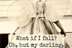 "What if you fly?"