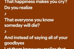 Do You Realize? lyrics, life goes fast, the time is now