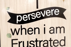 Affirmation, I persevere when I am frustrated.