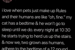 Pets make the rules.