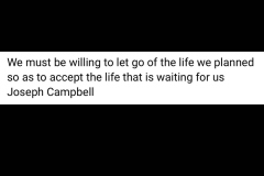 Let go. Look ahead. Joseph Campbell