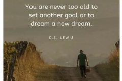 Set a new goal. Dream a new dream.  C S Lewis