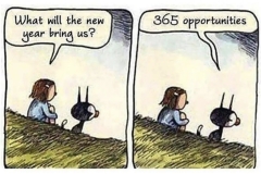 365 Opportunities