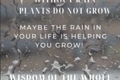 Need rain to grow, wisdom of the whole