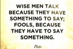 Plato, wise speak b/c something to say, fools speak b/c have to say something
