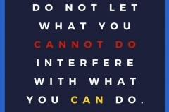 Do What You Can