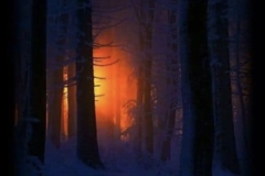 Wishing you joy with the sunrise