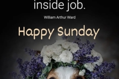 Happiness - an inside job