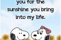 Thank you for bringing sunshine into my life.