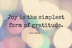 Joy springs from gratitude,