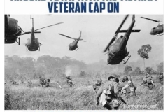 Vietnam Nam Vets