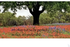 Imperfection is better than trying to be perfect.