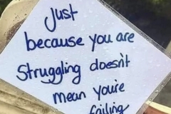 Struggling is not failing