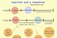 Reaction and Response