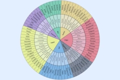 Feelings wheel
