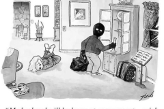 wife to thief, take the accordian