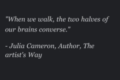 Julia Cameron quote