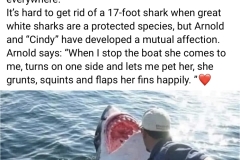Shark is grateful to fisherman.