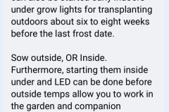 Growing Marigolds for Pest Control