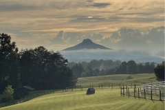 Pilot Mountain?