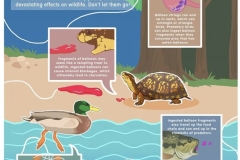 balloons, danger to wildlife