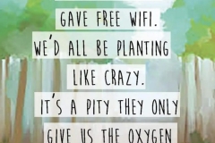 The Healing Power of Trees