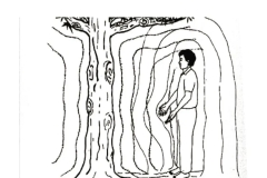 Standing in the aura of the tree
