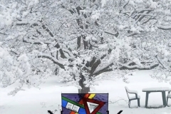 stained glass  + snow covered dogwood tree (photo by DH)