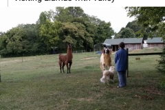 Deb, Valley, and the llamas