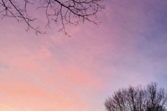 pink winter sunset sky (photo by DH)