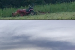 Mowing the field, sunset  (photos by DH)