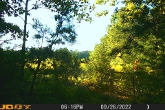 Trail camera