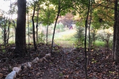 B's path (photo by DH)