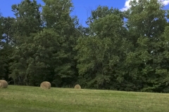 Round hay bales in a field (photo by DH)
