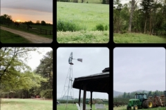 Home away from home, On the way home (photo by DH)