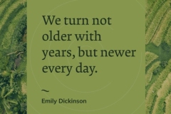 Each day is a new day of life.