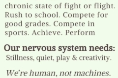 chronic stress, fight or flight vs stillness, quiet, play, and creativity