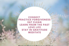 Wisdom of the Whole, intentions