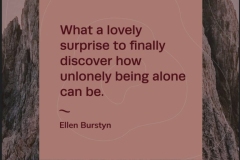 Not Lonely Alone