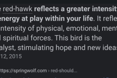 Red Hawk spirit animal