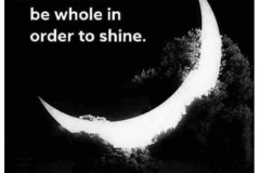 You do not have to be whole in order to shine.