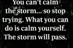 Can't Calm Storm, Calm Self