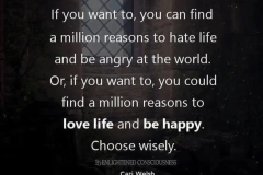 Choose to hate life or love life.