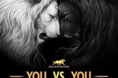 Light and Shadow in all of us, the known and the unrecognized