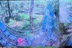 Mountain Coaster