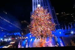 NYC Christmas Tree Rockafeller Center