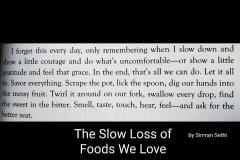 quote from "Bread Wine Chocolate"