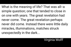 meaning of life revealed, daily miracles, illuminations, matches struck unexpectedly in the dark ...Virginia Wolff